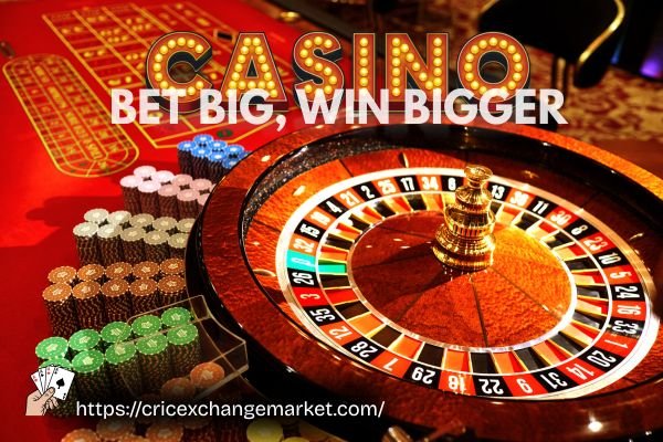 cricket exchange betting